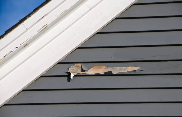 Best Shed Removal  in Niagara Falls, NY